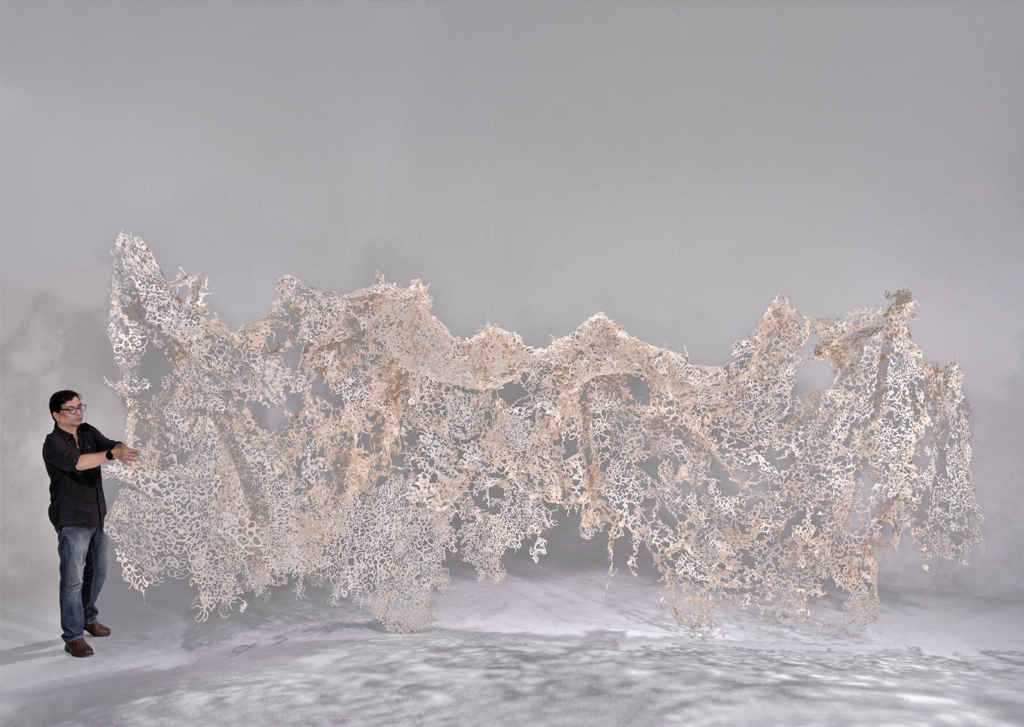 ‘Liminal membrane’,Daphne fiber pulp,H16’x W22”, 2024